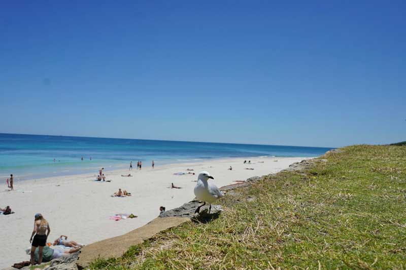 Scarborough beach : surf et modernité