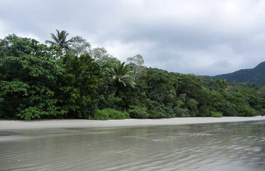 Cape Tribulation