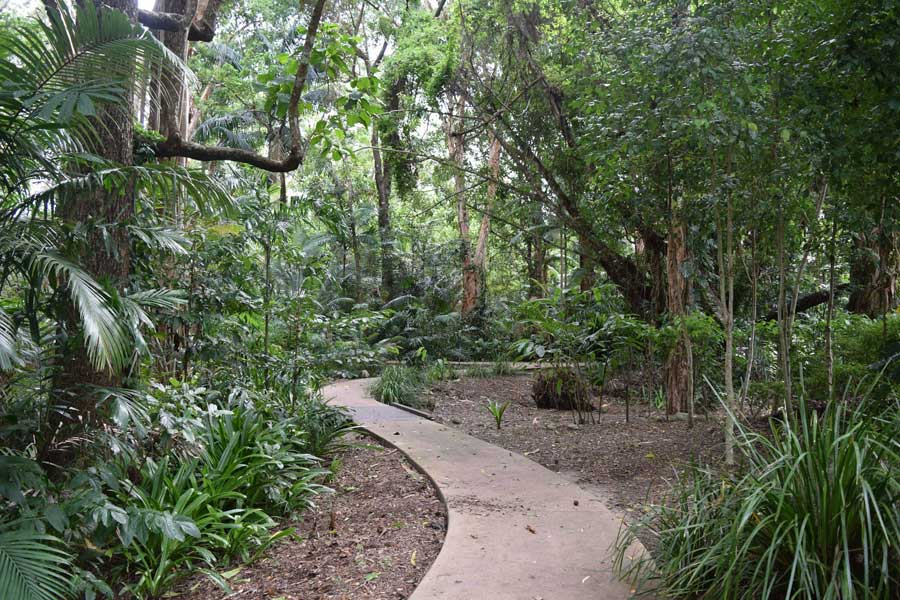 Le Daintree National Park est l'un des espaces naturels les plus remarquables d'Australie. 