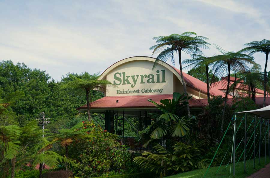 Skyrail Rainforest Cableway, télécabine survolant la canopée