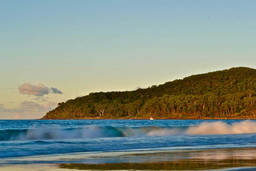 Noosa National Park avec vue sur l'océan et végétation dense du parc