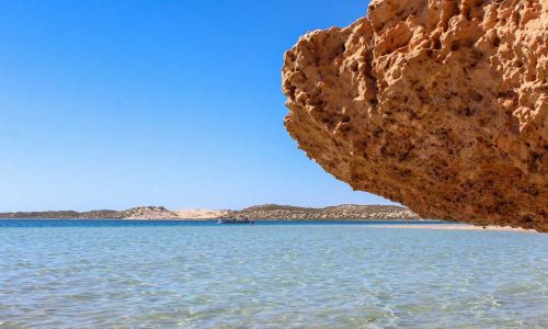 Recif de Ningaloo: le secret le mieux garde de l’Australie